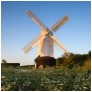 slides/Days End.jpg jack jill windmill south downs national park sunset summer west sussex flowers clear blue sky cow parsley campion warm glow Days End